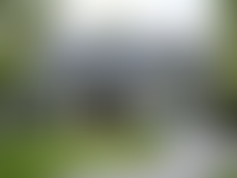 The Hidden Drawbacks of Metal Roofing: Why Asphalt Shingles Outperform in Cost and Style