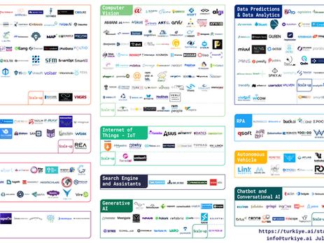 Turkey’s Adaptation to Artificial Intelligence: Challenges and Opportunities