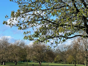 Weekend Roundup - A positive week for the portfolios