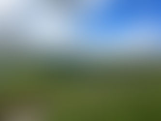 July 2023 Review