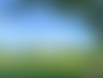 April Review - Bond and Equity markets under pressure