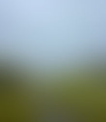 Weekend Roundup - a good week for equities and commodities