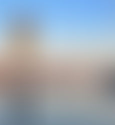 Weekend Roundup - Wishing everyone a Merry Christmas