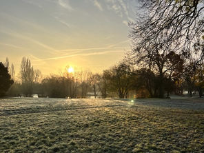 November - Monthly Review