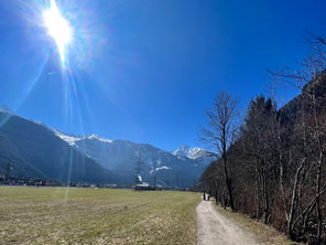 Good week for both portfolios