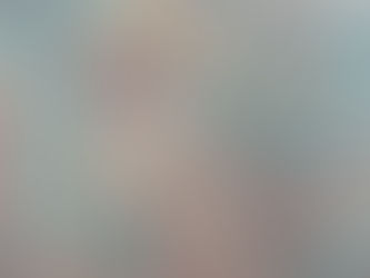 EssilorLuxottica Q4 Results