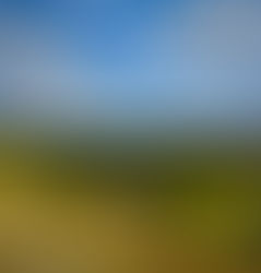 JIC Weekend Roundup from the Yorkshire Wolds