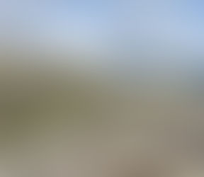 Weekend Roundup from Scafell - Further progress