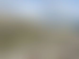 Weekend Roundup from Scafell - Further progress