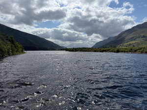 Serica Energy - H1 Results