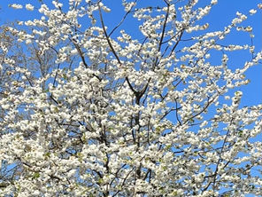 Another fractious week for markets