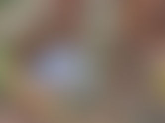 Slow Drains in Your House? It Might Be Your Septic System