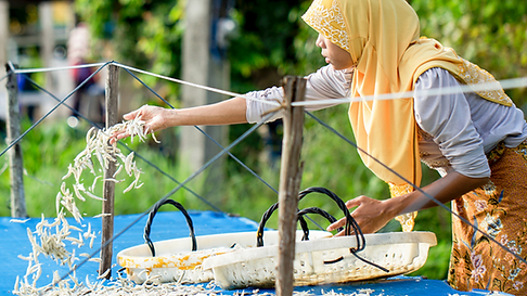 Capture d’écran 2026-04-25 à 15.23.24.png