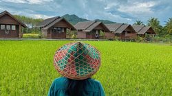 Séjour nuit dans les rizières Koh Yao Thaïlande