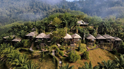 hotel dans les arbres Khao Sok cabane perchée jungle Thaïlande treehouse
