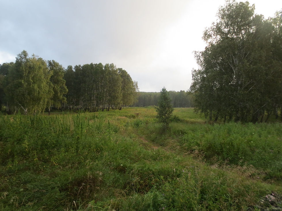 Thumbnail: Pure Siberian
