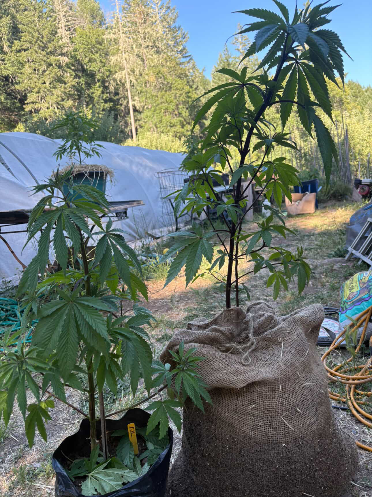 Lashkar Gah Afghanistan