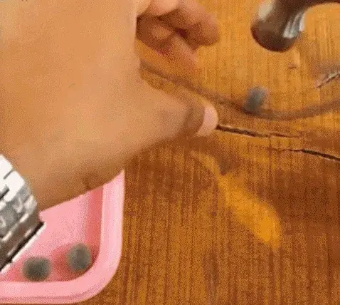 Thumbnail: The Sacred Lotus Flowers