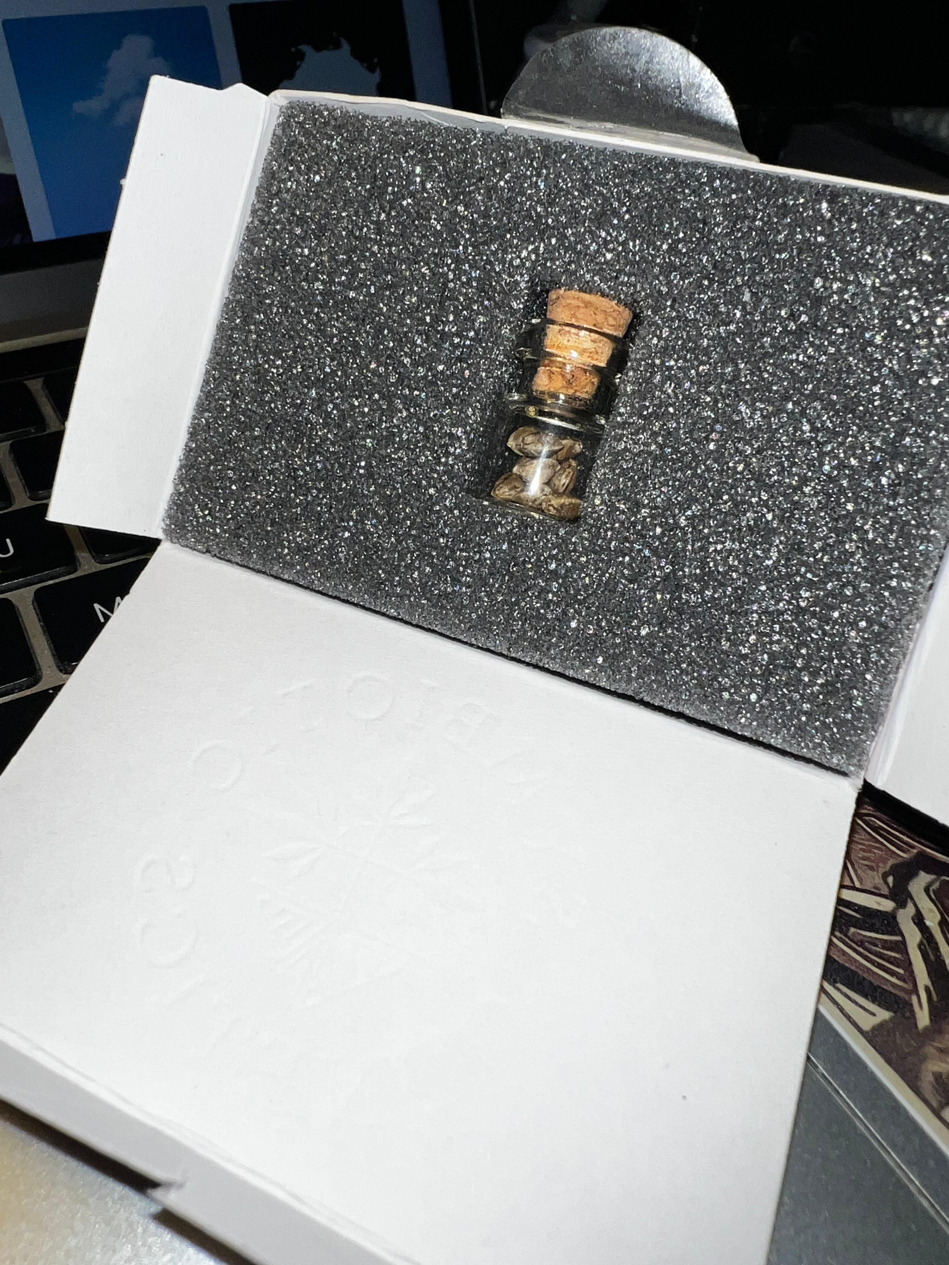 Purple Punch 2.0 Symbiotic Genetics