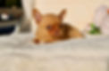 RenderedImage (6).jpeg