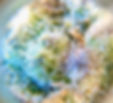 Thumbnail: Ayahuasca Purple Haze
