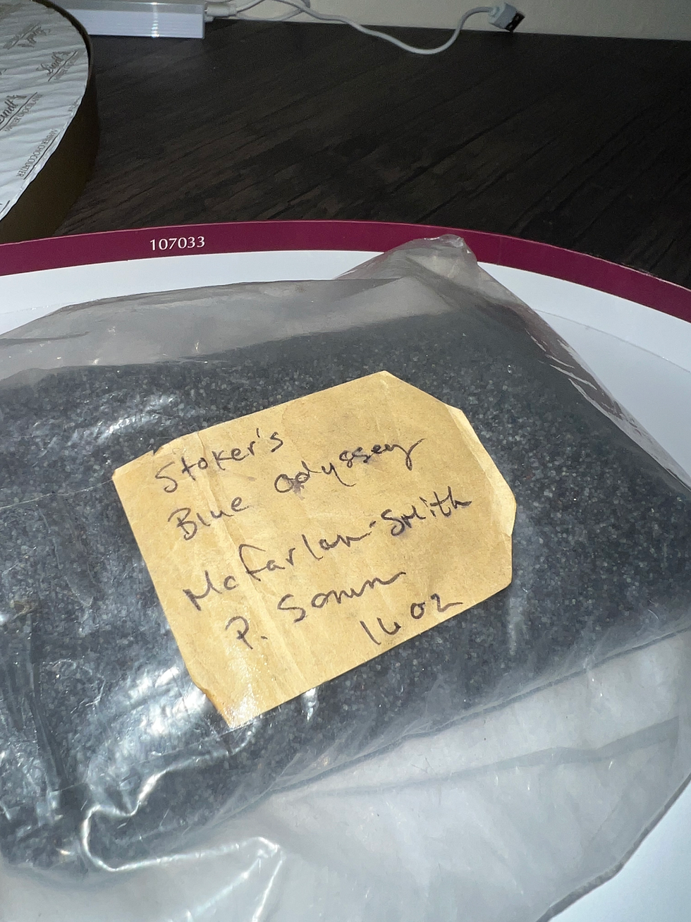 Thumbnail: Blue Odyssey Poppy Flowers