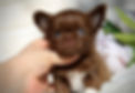 Facetune_19-08-2024-12-45-18_edited.jpg