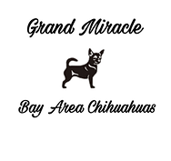 Grand Miracle Logo