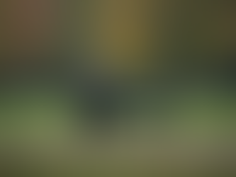 Recognizing Narcissistic Traits in Relationship Dynamics