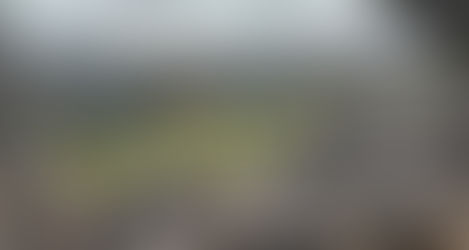 11% d'accès à la nature ne suffisent pas : Le combat du BMC pour l'Angleterre et le Pays de Galles