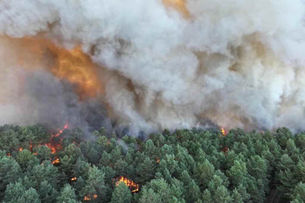 À Fontainebleau, un nouvel incendie parcourt plus de 300 hectares dans les Trois-Pignons