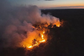 À Fontainebleau, un incendie brûle 4,5 hectares dans le massif d’Apremont