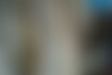 CLIPPE : comment des grimpeurs ordinaires sauvent leurs falaises 