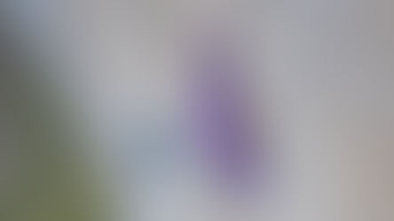 Seb Berthe : un nouveau round sur le Dawn Wall