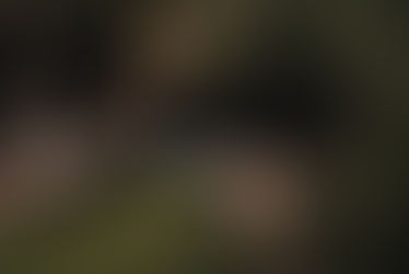 La science de l'escalade face à son biais de genre