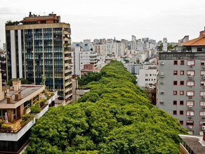 RUA MAIS BONITA DO MUNDO
