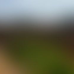 L'élévation des murs des dortoirs de l'orphelinat à PK17 à BANGUI (RCA)