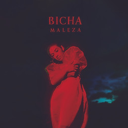 portadaMALEZA_BICHA.jpg
