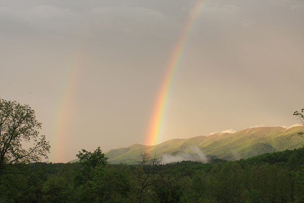 image_6483441.JPG
