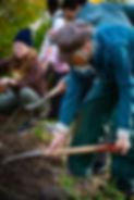 Working in the Angelica Village gardens