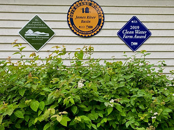 image_50732289.JPG