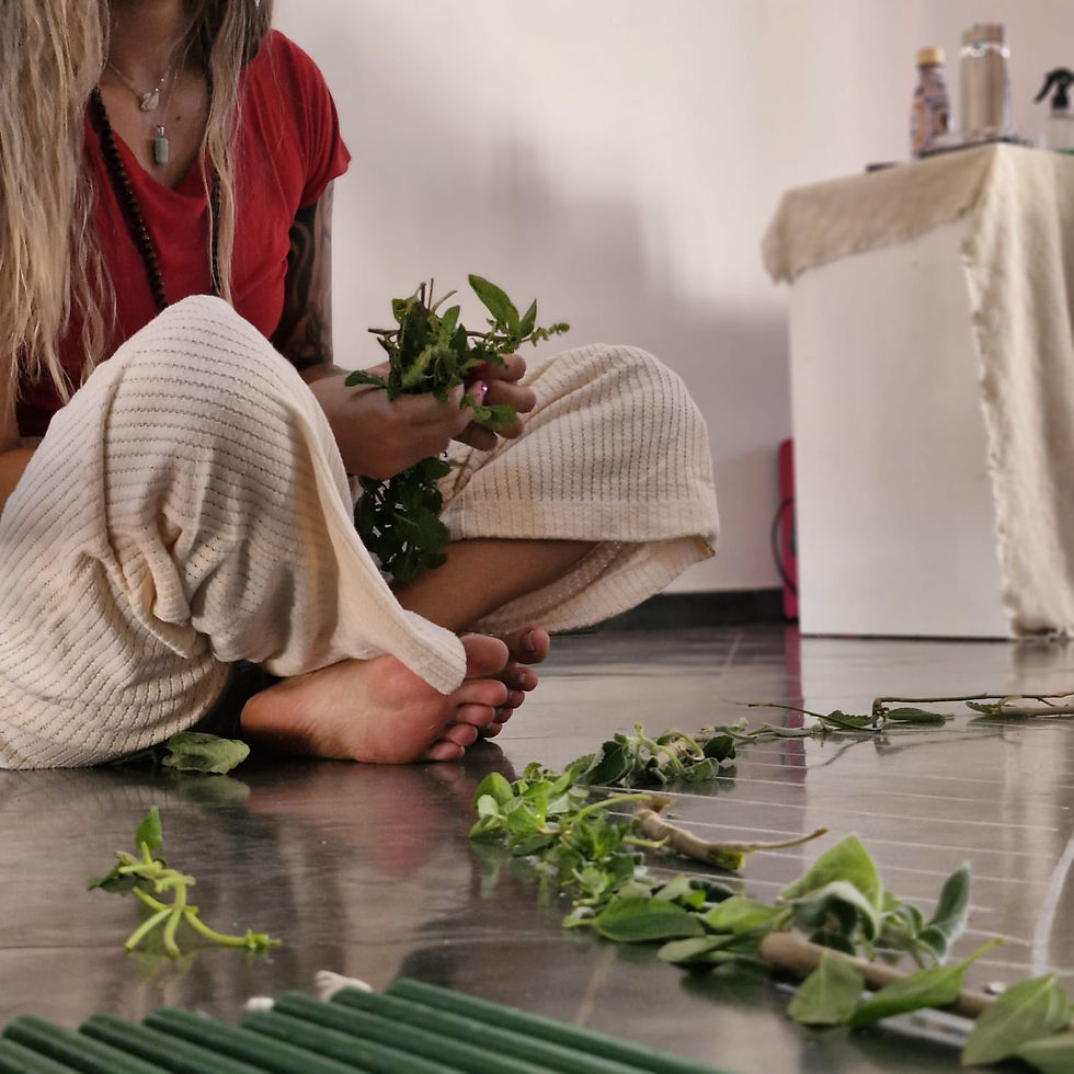 WhatsApp Image 2025-02-02 at 12.44.47 (1)