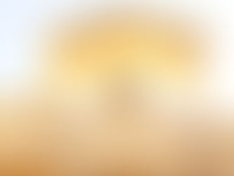 Best French Crystal Chandeliers in Alexandria | Mohie Fine Art