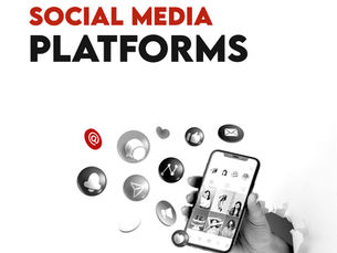  Social Media Management 