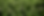 cannabis-181_edited.png