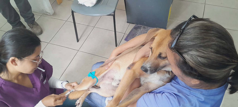 Assisting during medical procedures