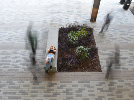 Exploring Motion with Shutter Speed