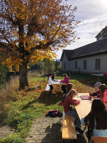 WhatsApp Image 2022-10-11 at 15.10.05.jpeg