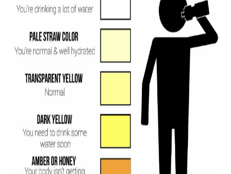 Urine Color Chart