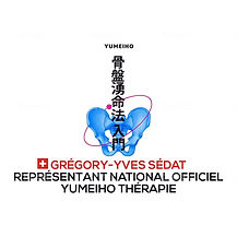 representant national.jpg